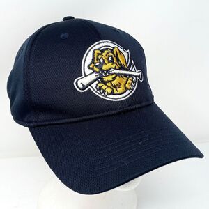 Charleston RiverDogs MiLB Strapback Hat Cap Blue Tampa Bay Rays New York Yankees